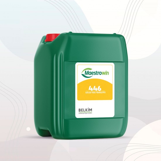 Maestrowin 446 Köpüklü Kireç Çözücü